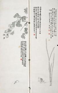 眼明经视频读诵